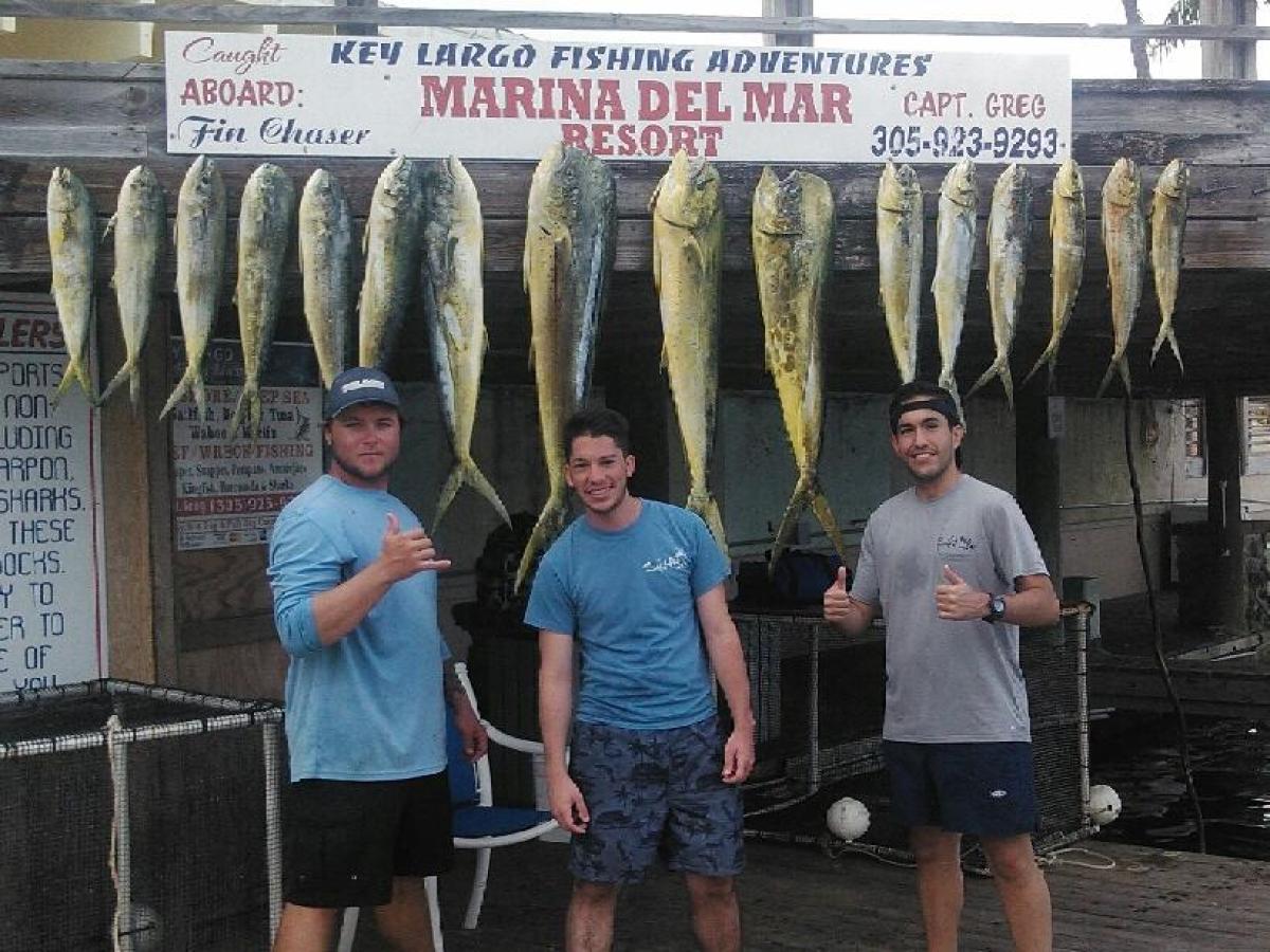 Three men posing with a row of large fish hanging on display at a marina fishing resort.