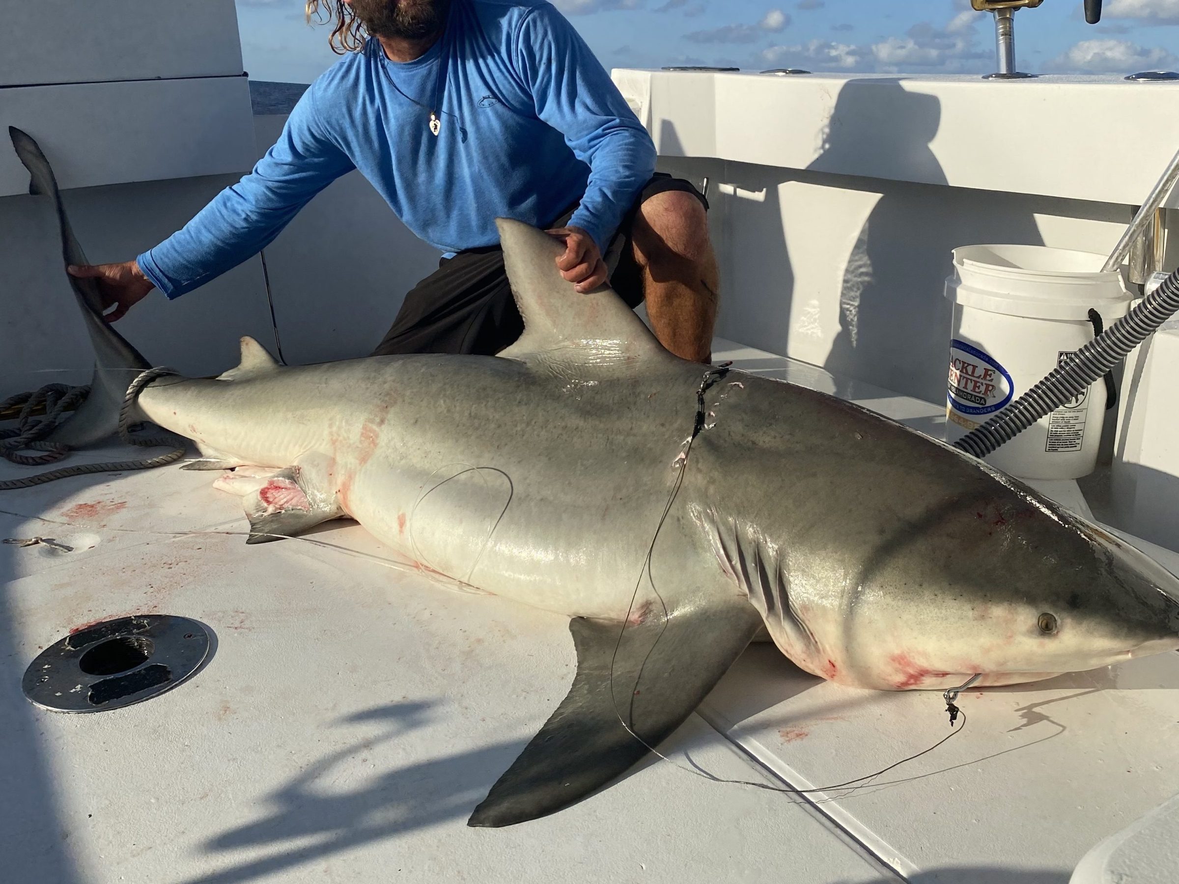 Person on boat posing with large shark under a clear sky.