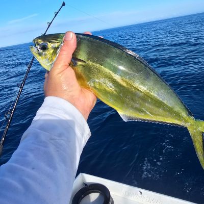 Person holding a fish on a boat, fishing rod in background over the sea.