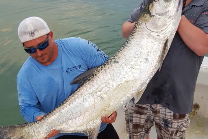 Two men on a boat holding a large silver fish with the lake in the background.
