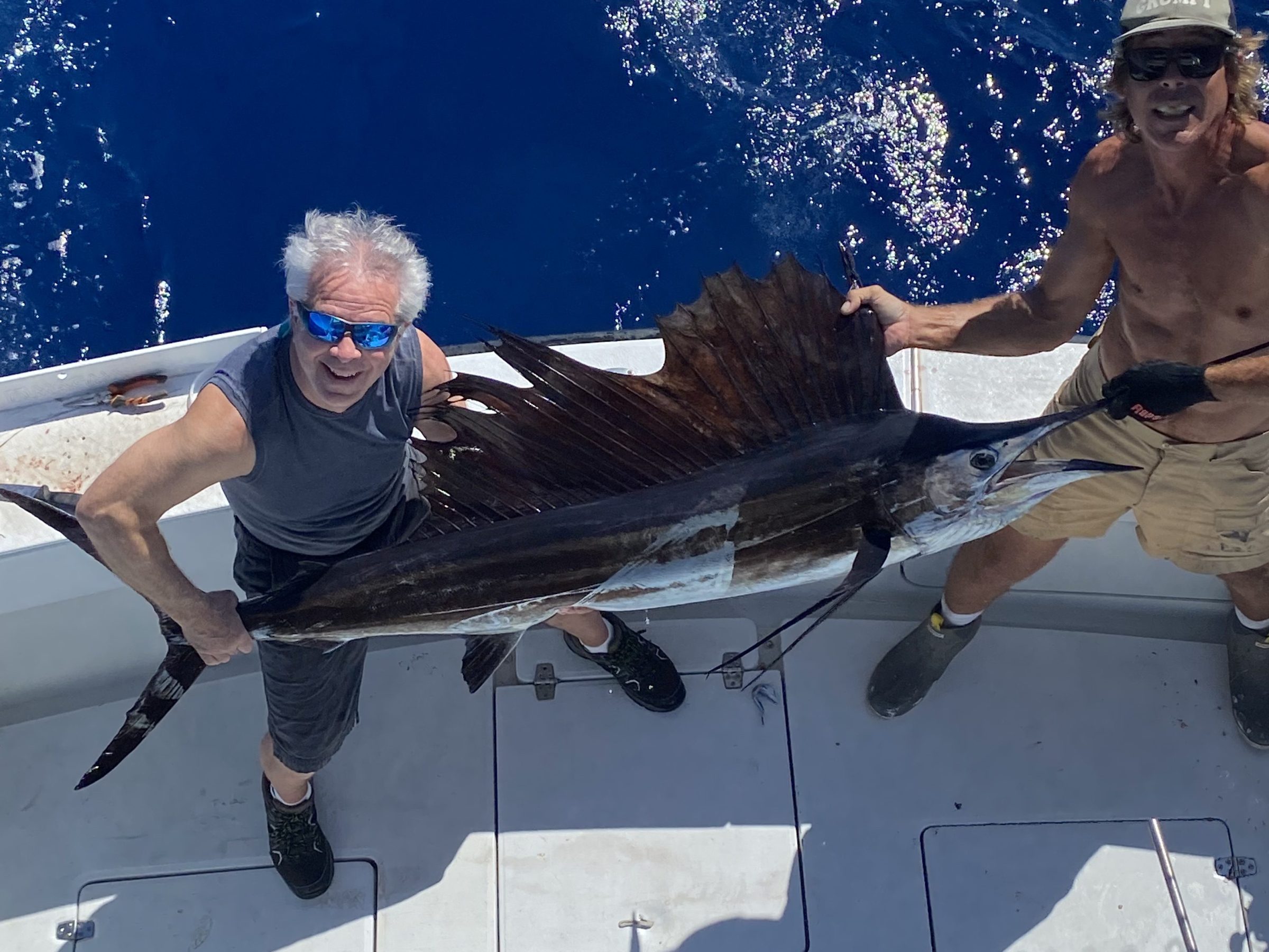 Two people on a boat holding a large sailfish with bright blue ocean in the background.